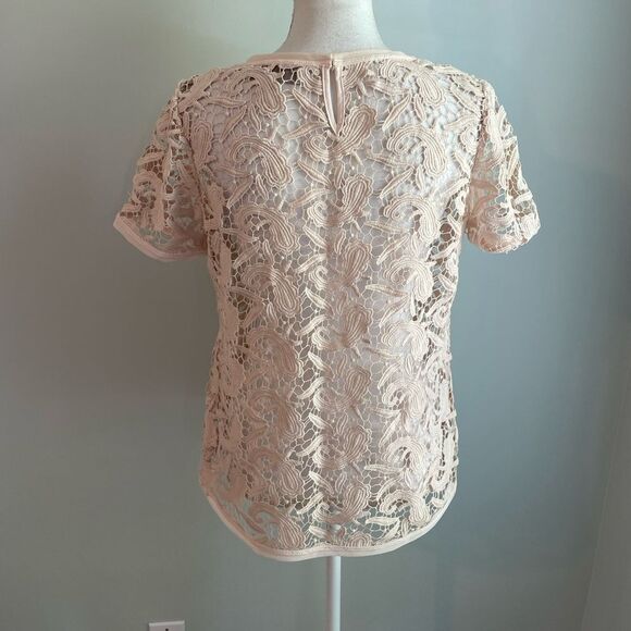 Loft Cream Sheer Blouse - Picture 3 of 4